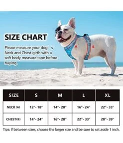 Frenkiez Frenkiez Y Tuig Dogharness Reflective ( Matching Straps ) Blue 11 Frenkiez Frenkiez Y Tuig Dogharness Reflective ( Matching Straps ) Blue -Hondenmode frenkiez y tuig dogharness reflective matching str 14