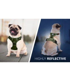 Frenkiez Frenkiez Y Tuig Dogharness Reflective ( Matching Straps ) Blue