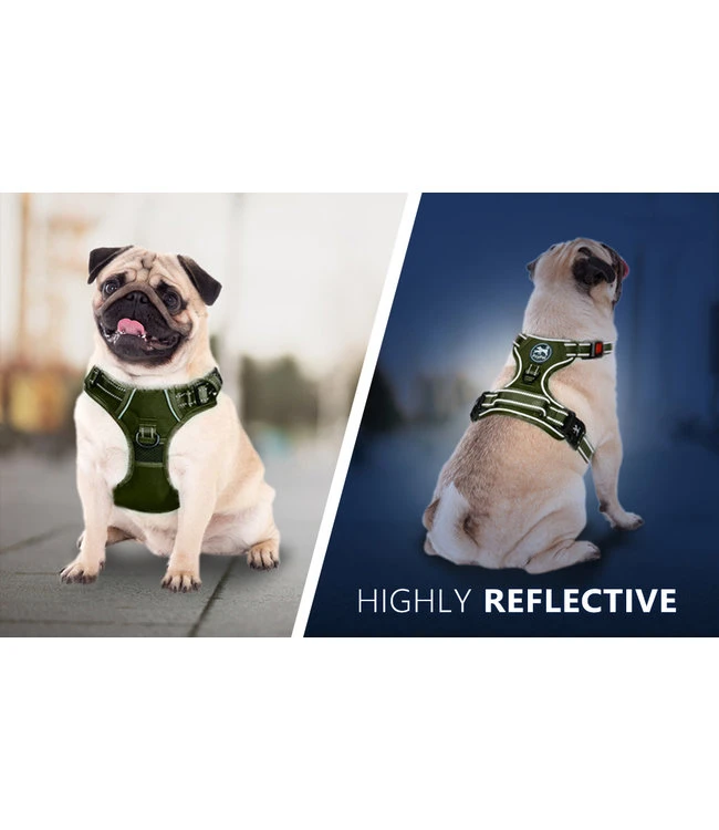 Frenkiez Frenkiez Y Tuig Dogharness Reflective ( Matching Straps ) Blue 3 Frenkiez Frenkiez Y Tuig Dogharness Reflective ( Matching Straps ) Blue