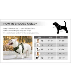 Frenkiez Frenkiez Y Tuig Dogharness Reflective ( Matching Straps ) Blue 14 Frenkiez Frenkiez Y Tuig Dogharness Reflective ( Matching Straps ) Blue -Hondenmode frenkiez y tuig dogharness reflective matching str 5