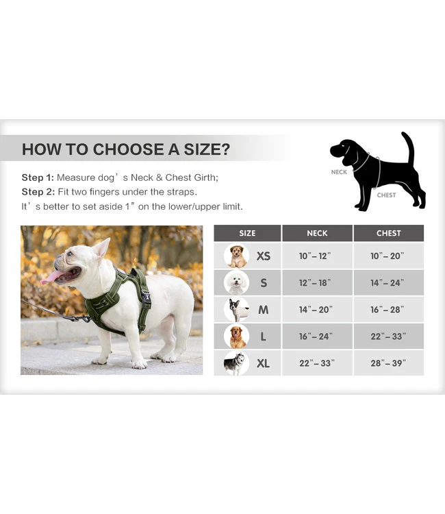 Frenkiez Frenkiez Y Tuig Dogharness Reflective ( Matching Straps ) Blue 8 Frenkiez Frenkiez Y Tuig Dogharness Reflective ( Matching Straps ) Blue - Afbeelding 6