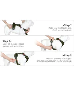 Frenkiez Frenkiez Y Tuig Dogharness Reflective ( Matching Straps ) Blue 15 Frenkiez Frenkiez Y Tuig Dogharness Reflective ( Matching Straps ) Blue -Hondenmode frenkiez y tuig dogharness reflective matching str 6