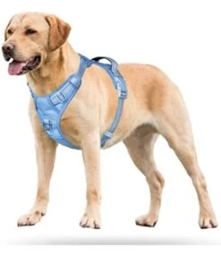 Frenkiez Frenkiez Y Tuig Dogharness Reflective ( Matching Straps ) Light Blue -Hondenmode frenkiez y tuig dogharness reflective matching str 8