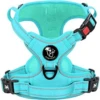 Frenkiez Frenkiez Y Tuig Dogharness Reflective Mint Blue ( Matching Straps ) -Hondenmode frenkiez y tuig dogharness reflective mint blue ma