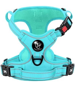 Frenkiez Frenkiez Y Tuig Dogharness Reflective Mint Blue ( Matching Straps )