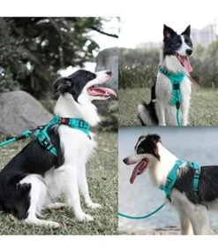 Frenkiez Frenkiez Y Tuig Dogharness Reflective Mint Blue ( Matching Straps ) -Hondenmode frenkiez y tuig dogharness reflective mint blue ma 3