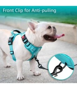Frenkiez Frenkiez Y Tuig Dogharness Reflective Mint Blue ( Matching Straps ) -Hondenmode frenkiez y tuig dogharness reflective mint blue ma 4