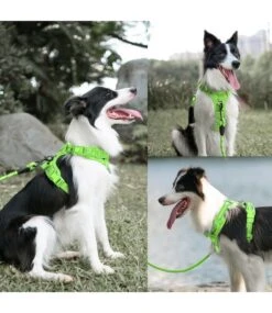 Frenkiez Frenkiez Y Tuig Dogharness Reflective Neon Green ( Matching Straps ) -Hondenmode frenkiez y tuig dogharness reflective neon green m 2