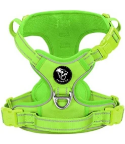 Frenkiez Frenkiez Y Tuig Dogharness Reflective Neon Green ( Matching Straps )