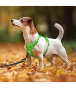 Frenkiez Frenkiez Y Tuig Dogharness Reflective Neon Green ( Matching Straps ) -Hondenmode frenkiez y tuig dogharness reflective neon green m 5