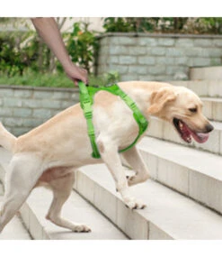 Frenkiez Frenkiez Y Tuig Dogharness Reflective Neon Green ( Matching Straps ) -Hondenmode frenkiez y tuig dogharness reflective neon green m 6