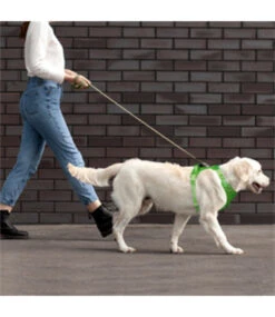 Frenkiez Frenkiez Y Tuig Dogharness Reflective Neon Green ( Matching Straps ) -Hondenmode frenkiez y tuig dogharness reflective neon green m 7