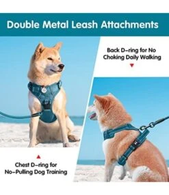 Frenkiez Frenkiez Y Tuig Dogharness Reflective Petrol Blue ( Matching Straps ) -Hondenmode frenkiez y tuig dogharness reflective petrol blue 1