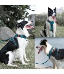 Frenkiez Frenkiez Y Tuig Dogharness Reflective Petrol Blue ( Matching Straps ) -Hondenmode frenkiez y tuig dogharness reflective petrol blue 2
