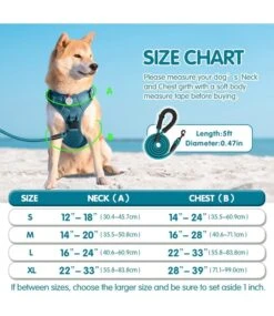 Frenkiez Frenkiez Y Tuig Dogharness Reflective Petrol Blue ( Matching Straps ) -Hondenmode frenkiez y tuig dogharness reflective petrol blue 5