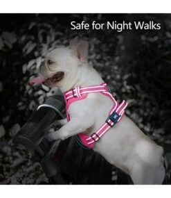 Frenkiez Frenkiez Y Tuig Dogharness Reflective Pink ( Matching Straps ) -Hondenmode frenkiez y tuig dogharness reflective pink matchin 3