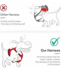 Frenkiez Frenkiez Y Tuig Dogharness Reflective Pink ( Matching Straps ) -Hondenmode frenkiez y tuig dogharness reflective pink matchin 4