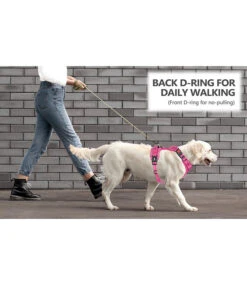 Frenkiez Frenkiez Y Tuig Dogharness Reflective Pink ( Matching Straps ) -Hondenmode frenkiez y tuig dogharness reflective pink matchin 5