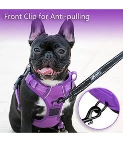 Frenkiez Frenkiez Y Tuig Dogharness Reflective Purple ( Matching Straps ) -Hondenmode frenkiez y tuig dogharness reflective purple match 1