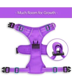 Frenkiez Frenkiez Y Tuig Dogharness Reflective Purple ( Matching Straps ) -Hondenmode frenkiez y tuig dogharness reflective purple match 2
