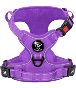 Frenkiez Frenkiez Y Tuig Dogharness Reflective Purple ( Matching Straps )