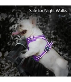 Frenkiez Frenkiez Y Tuig Dogharness Reflective Purple ( Matching Straps ) -Hondenmode frenkiez y tuig dogharness reflective purple match 3