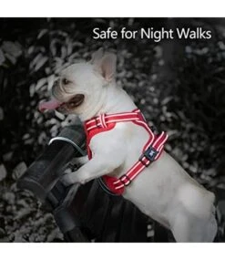 Frenkiez Frenkiez Y Tuig Dogharness Reflective Red ( Matching Straps ) 10 Frenkiez Frenkiez Y Tuig Dogharness Reflective Red ( Matching Straps ) -Hondenmode frenkiez y tuig dogharness reflective red matching 2