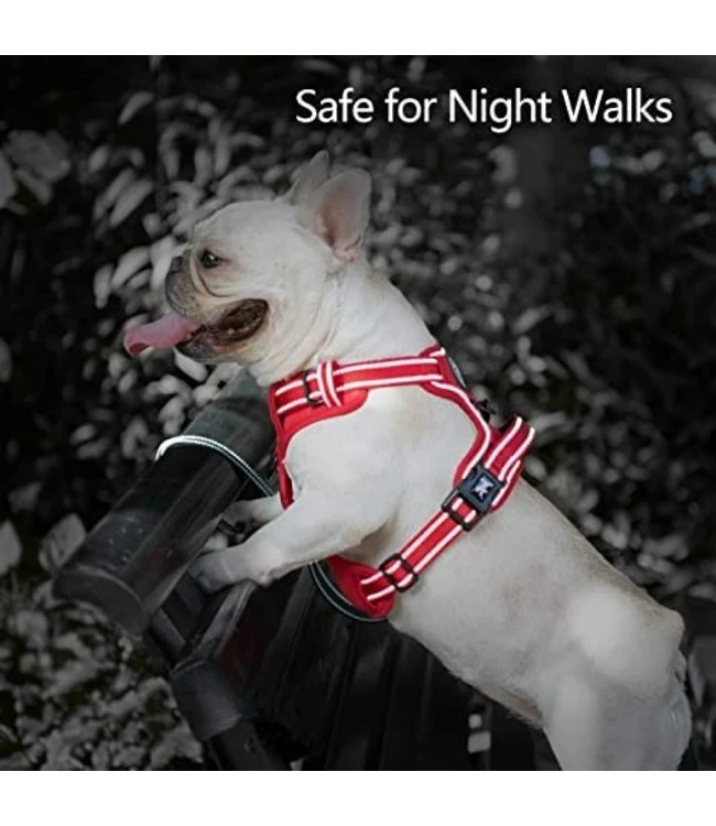 Frenkiez Frenkiez Y Tuig Dogharness Reflective Red ( Matching Straps ) 5 Frenkiez Frenkiez Y Tuig Dogharness Reflective Red ( Matching Straps ) - Afbeelding 3