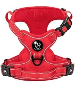 Frenkiez Frenkiez Y Tuig Dogharness Reflective Red ( Matching Straps )