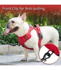 Frenkiez Frenkiez Y Tuig Dogharness Reflective Red ( Matching Straps ) 11 Frenkiez Frenkiez Y Tuig Dogharness Reflective Red ( Matching Straps ) -Hondenmode frenkiez y tuig dogharness reflective red matching 3