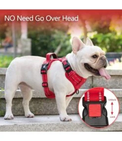 Frenkiez Frenkiez Y Tuig Dogharness Reflective Red ( Matching Straps ) 12 Frenkiez Frenkiez Y Tuig Dogharness Reflective Red ( Matching Straps ) -Hondenmode frenkiez y tuig dogharness reflective red matching 4