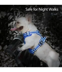 Frenkiez Frenkiez Y Tuig Dogharness Reflective Royal Blue ( Matching Straps ) -Hondenmode frenkiez y tuig dogharness reflective royal blue m 1