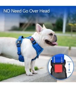 Frenkiez Frenkiez Y Tuig Dogharness Reflective Royal Blue ( Matching Straps ) -Hondenmode frenkiez y tuig dogharness reflective royal blue m 2