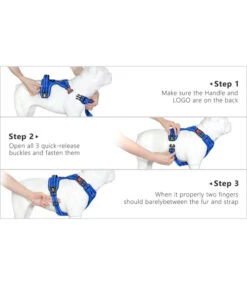 Frenkiez Frenkiez Y Tuig Dogharness Reflective Royal Blue ( Matching Straps ) -Hondenmode frenkiez y tuig dogharness reflective royal blue m 3