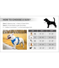 Frenkiez Frenkiez Y Tuig Dogharness Reflective Royal Blue ( Matching Straps ) -Hondenmode frenkiez y tuig dogharness reflective royal blue m 4