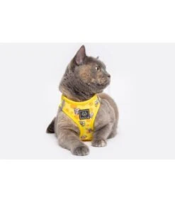 Little Kitty Little Kitty Cat Harness Cheesin' Around -Hondenmode little kitty cat harness cheesin around 2