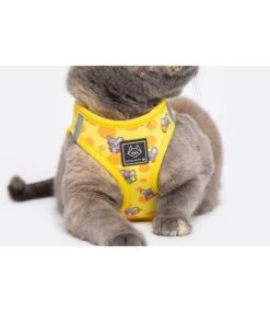 Little Kitty Little Kitty Cat Harness Cheesin' Around -Hondenmode little kitty cat harness cheesin around 3