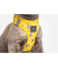 Little Kitty Little Kitty Cat Harness Cheesin' Around -Hondenmode little kitty cat harness cheesin around 4