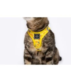 Little Kitty Little Kitty Cat Harness Cheesin' Around -Hondenmode little kitty cat harness cheesin around 6