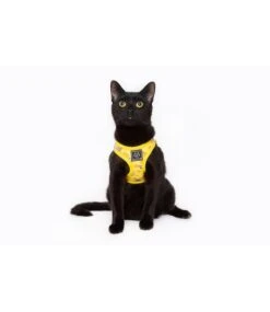 Little Kitty Little Kitty Cat Harness Cheesin' Around -Hondenmode little kitty cat harness cheesin around 7