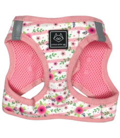 Little Kitty Little Kitty Cat Harness Fancy Florals