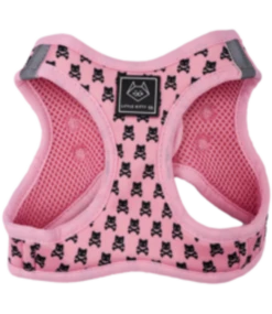 Little Kitty Little Kitty Cat Harness Prettiest Of Them All