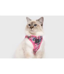 Little Kitty Little Kitty Cat Harness Step In Meow-Gical -Hondenmode little kitty cat harness step in meow gical 2