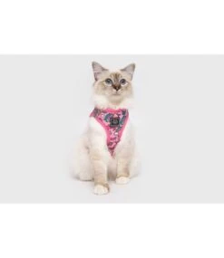 Little Kitty Little Kitty Cat Harness Step In Meow-Gical -Hondenmode little kitty cat harness step in meow gical 3