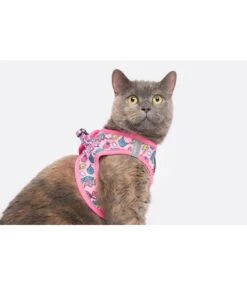 Little Kitty Little Kitty Cat Harness Step In Meow-Gical -Hondenmode little kitty cat harness step in meow gical 4