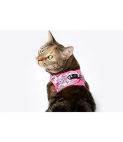 Little Kitty Little Kitty Cat Harness Step In Meow-Gical -Hondenmode little kitty cat harness step in meow gical 5