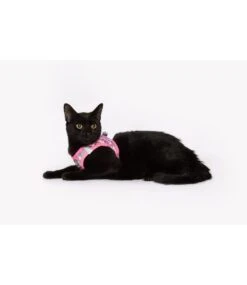 Little Kitty Little Kitty Cat Harness Step In Meow-Gical -Hondenmode little kitty cat harness step in meow gical 6