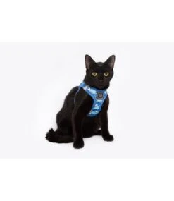 Little Kitty Little Kitty Cat Harness Step In Off The Hook -Hondenmode little kitty cat harness step in off the hook 2