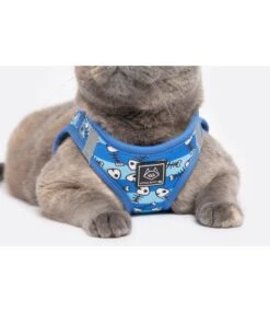 Little Kitty Little Kitty Cat Harness Step In Off The Hook -Hondenmode little kitty cat harness step in off the hook 4