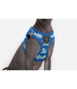 Little Kitty Little Kitty Cat Harness Step In Off The Hook -Hondenmode little kitty cat harness step in off the hook 6